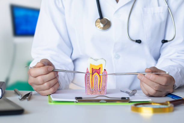 Best Emergency Broken Tooth Repair in Amherst, WI